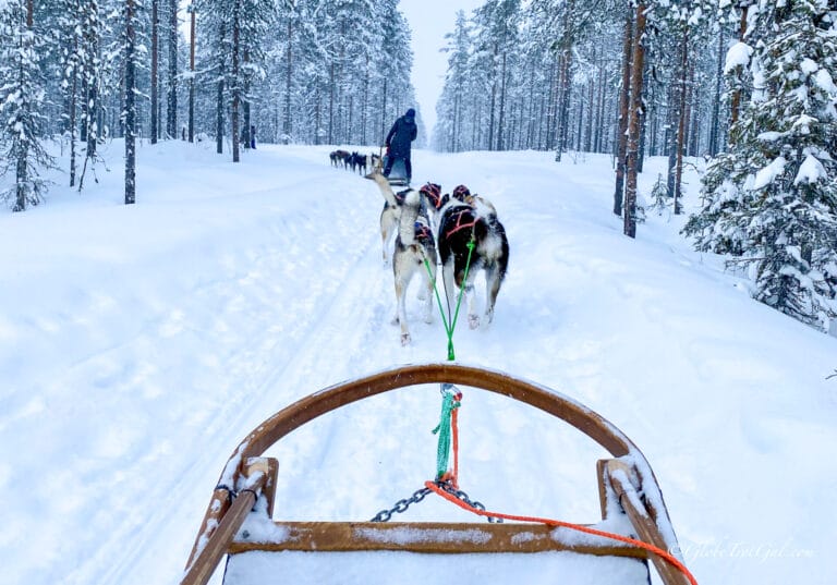 Dogsledding tour