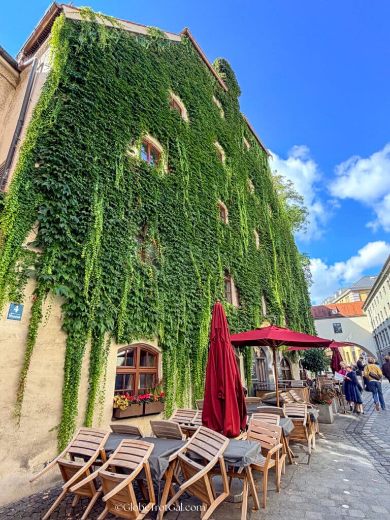 A building covered with vines in Munich Germany